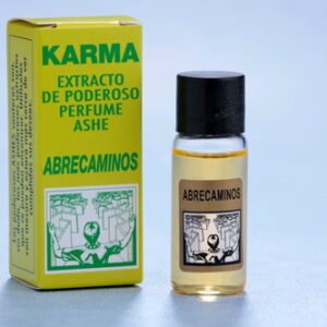 Perfume Ashe Abrecaminos