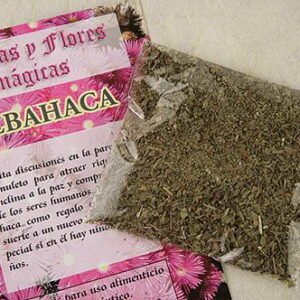 Albahaca
