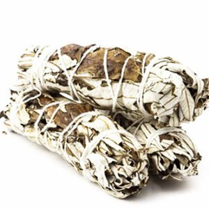 Atadito Ajenjo o Yerba Santa