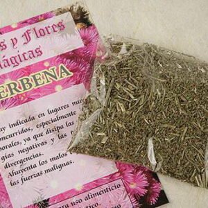 Verbena